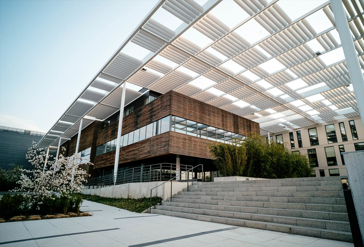 Polygon Wallet Download